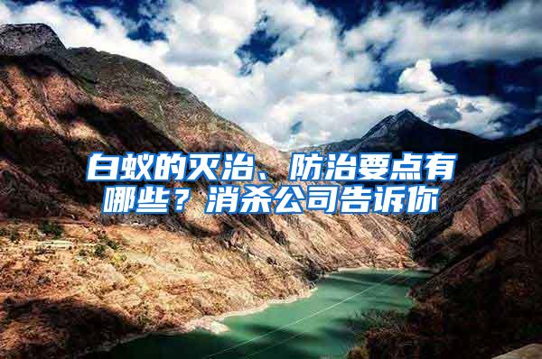白蟻的滅治、防治要點(diǎn)有哪些？消殺公司告訴你