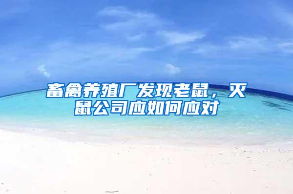 畜禽養(yǎng)殖廠發(fā)現(xiàn)老鼠，滅鼠公司應如何應對