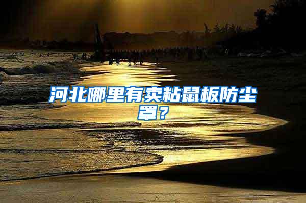 河北哪里有賣(mài)粘鼠板防塵罩？