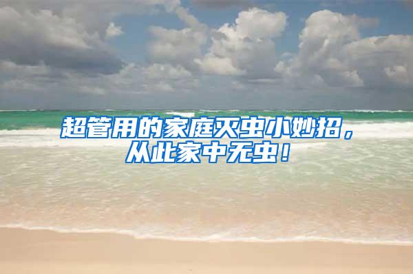 超管用的家庭滅蟲小妙招，從此家中無蟲！