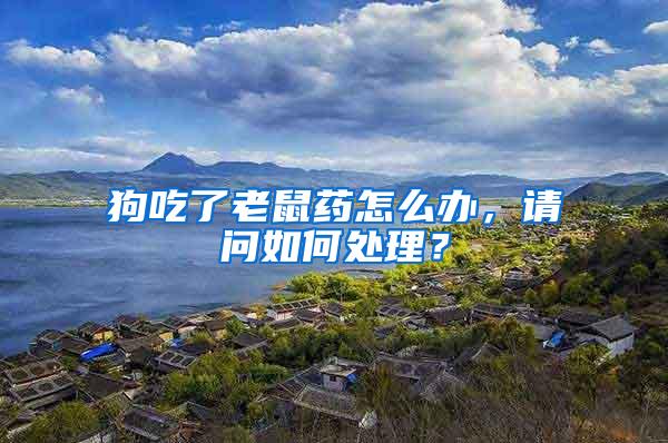 狗吃了老鼠藥怎么辦，請問如何處理？