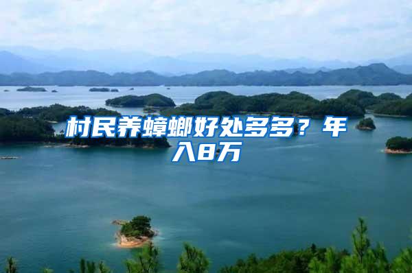 村民養(yǎng)蟑螂好處多多？年入8萬