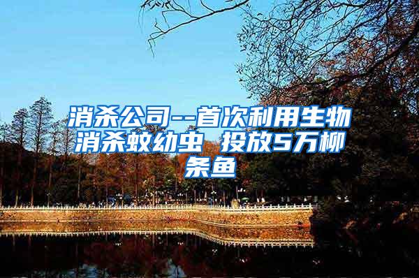 消殺公司--首次利用生物消殺蚊幼蟲(chóng) 投放5萬(wàn)柳條魚(yú)