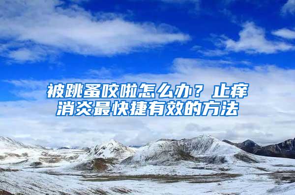 被跳蚤咬啦怎么辦？止癢消炎最快捷有效的方法