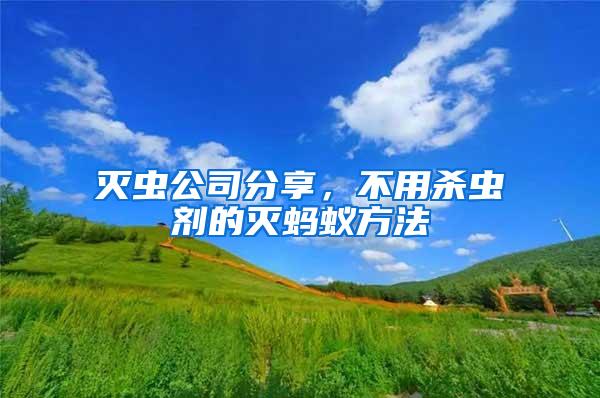 滅蟲公司分享，不用殺蟲劑的滅螞蟻方法