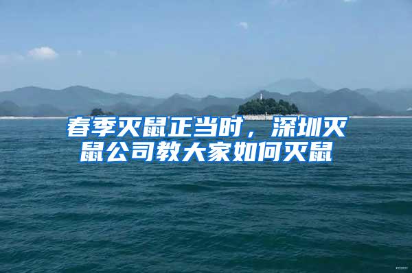 春季滅鼠正當(dāng)時(shí)，深圳滅鼠公司教大家如何滅鼠