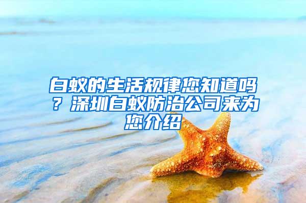 白蟻的生活規(guī)律您知道嗎？深圳白蟻防治公司來為您介紹