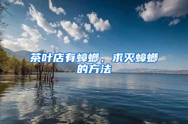 茶葉店有蟑螂，求滅蟑螂的方法