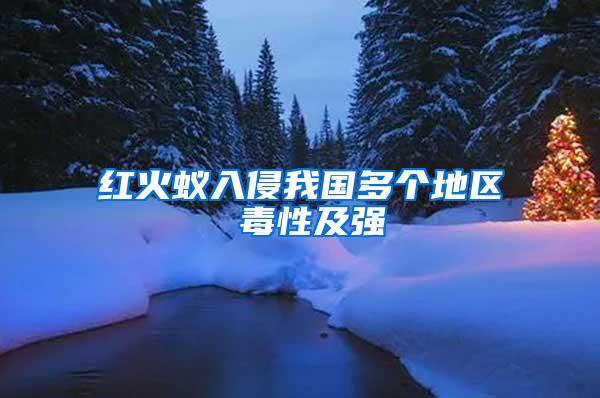 紅火蟻入侵我國多個地區(qū) 毒性及強