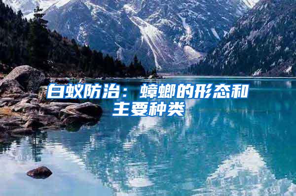 白蟻防治：蟑螂的形態(tài)和主要種類