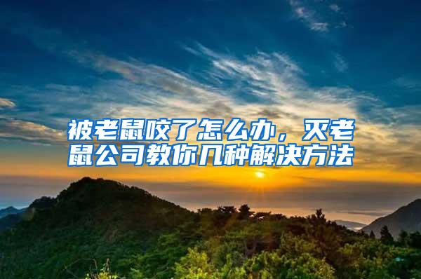 被老鼠咬了怎么辦，滅老鼠公司教你幾種解決方法