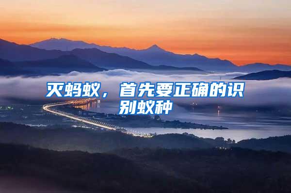 滅螞蟻，首先要正確的識(shí)別蟻種