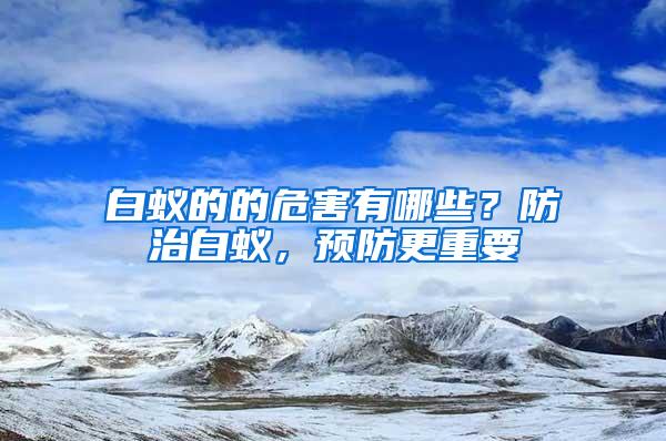 白蟻的的危害有哪些？防治白蟻，預(yù)防更重要