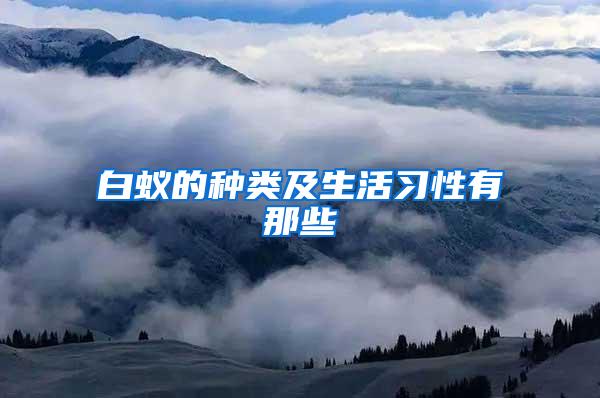 白蟻的種類及生活習(xí)性有那些
