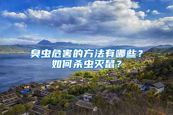臭蟲危害的方法有哪些？如何殺蟲滅鼠？