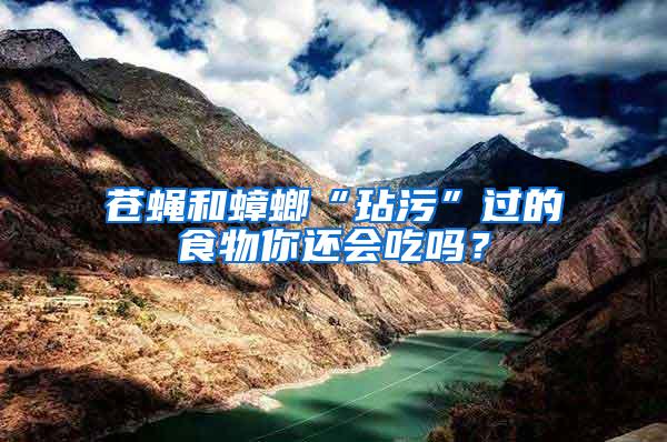 蒼蠅和蟑螂“玷污”過(guò)的食物你還會(huì)吃嗎？