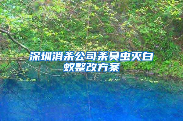 深圳消殺公司殺臭蟲(chóng)滅白蟻整改方案