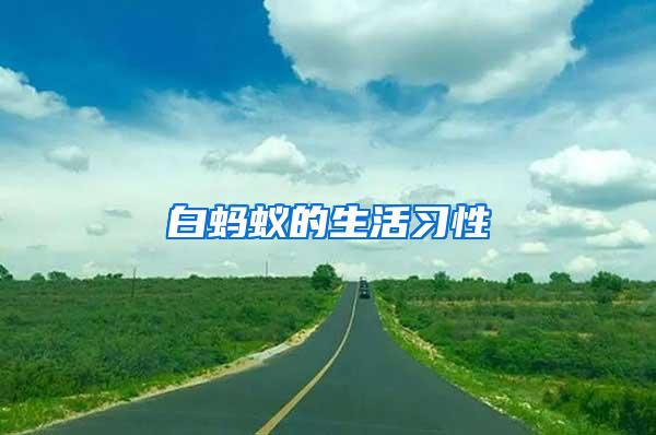 白螞蟻的生活習(xí)性