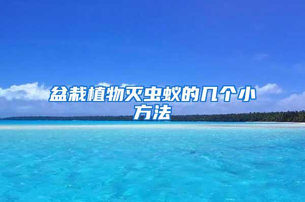 盆栽植物滅蟲蟻的幾個(gè)小方法