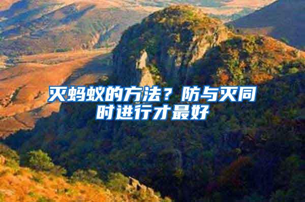 滅螞蟻的方法？防與滅同時進行才最好