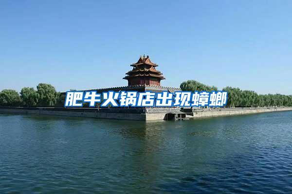 肥?；疱伒瓿霈F(xiàn)蟑螂