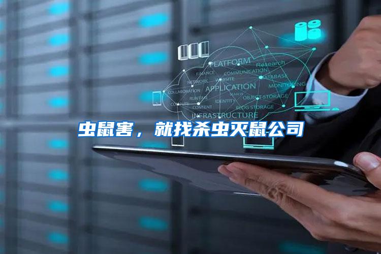 蟲鼠害，就找殺蟲滅鼠公司