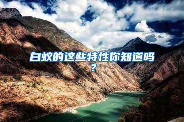 白蟻的這些特性你知道嗎？