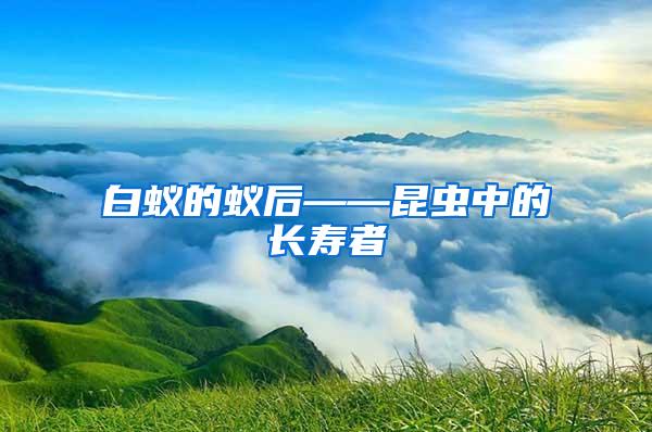 白蟻的蟻后——昆蟲中的長(zhǎng)壽者