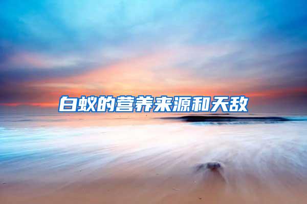 白蟻的營(yíng)養(yǎng)來源和天敵