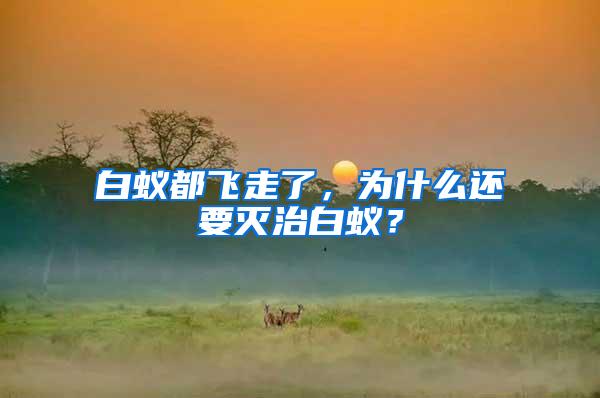 白蟻都飛走了，為什么還要滅治白蟻？