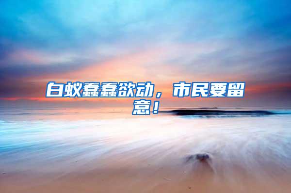 白蟻蠢蠢欲動，市民要留意！