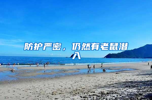 防護(hù)嚴(yán)密，仍然有老鼠潛入