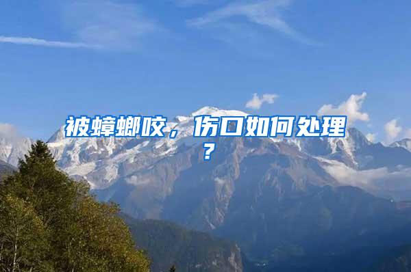 被蟑螂咬，傷口如何處理？