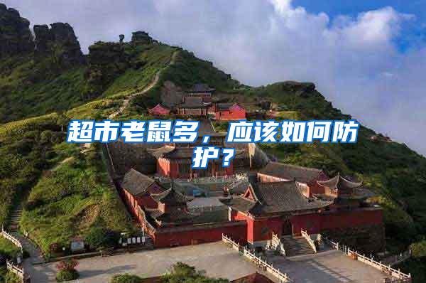超市老鼠多，應(yīng)該如何防護？