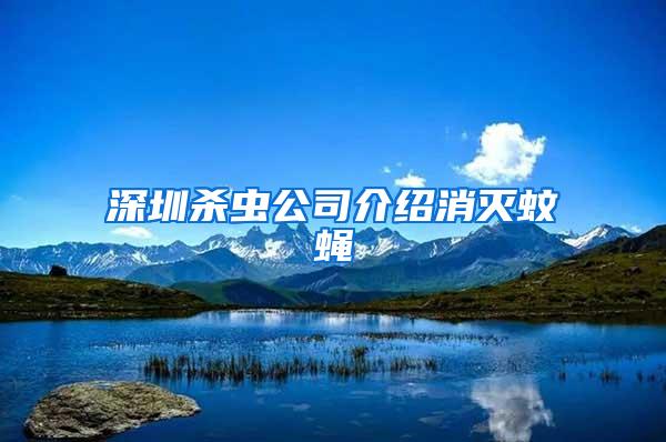 深圳殺蟲(chóng)公司介紹消滅蚊蠅