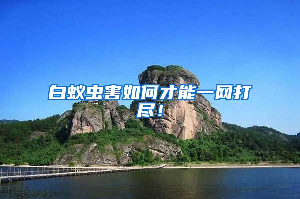 白蟻蟲害如何才能一網(wǎng)打盡！