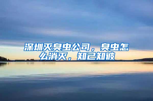 深圳滅臭蟲公司，臭蟲怎么消滅，知己知彼