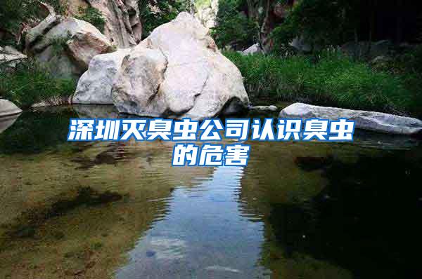 深圳滅臭蟲(chóng)公司認(rèn)識(shí)臭蟲(chóng)的危害