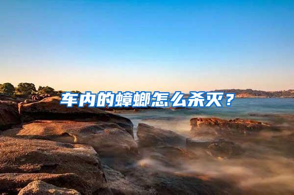 車內(nèi)的蟑螂怎么殺滅？