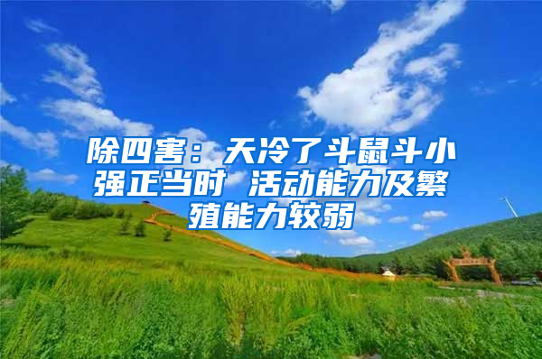 除四害：天冷了斗鼠斗小強正當(dāng)時 活動能力及繁殖能力較弱