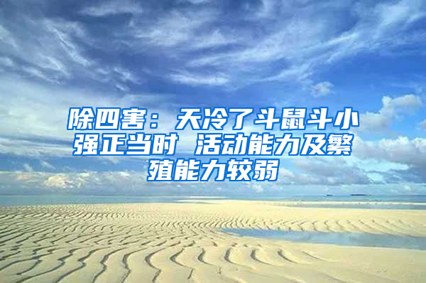 除四害：天冷了斗鼠斗小強正當(dāng)時 活動能力及繁殖能力較弱