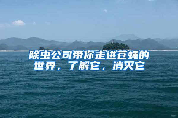 除蟲公司帶你走進(jìn)蒼蠅的世界，了解它，消滅它