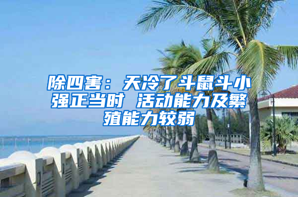 除四害：天冷了斗鼠斗小強(qiáng)正當(dāng)時(shí) 活動(dòng)能力及繁殖能力較弱
