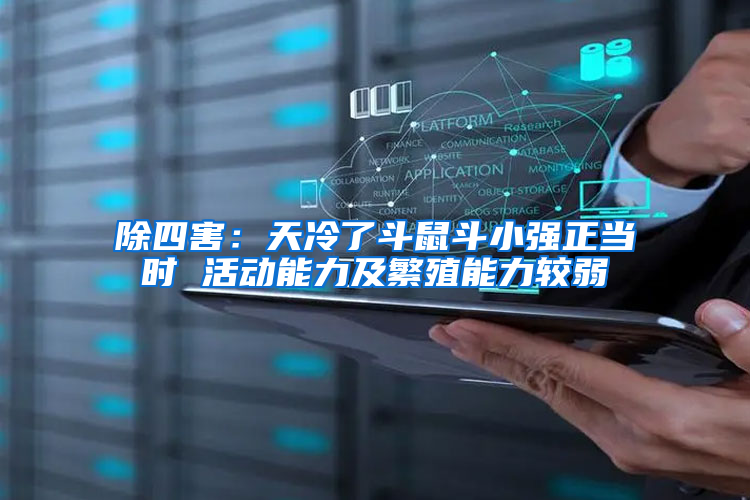 除四害：天冷了斗鼠斗小強(qiáng)正當(dāng)時 活動能力及繁殖能力較弱