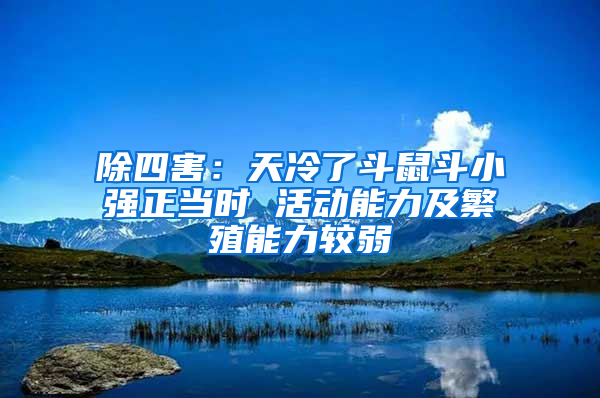 除四害：天冷了斗鼠斗小強正當(dāng)時 活動能力及繁殖能力較弱