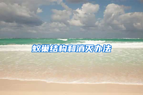 蟻巢結(jié)構(gòu)和消滅辦法