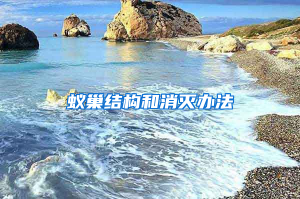 蟻巢結(jié)構和消滅辦法