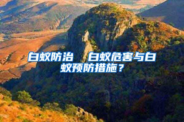 白蟻防治  白蟻危害與白蟻預防措施？