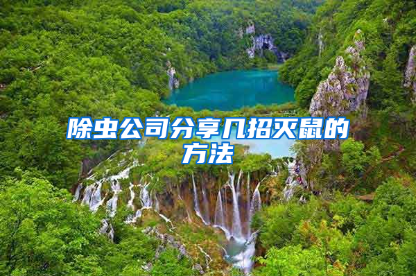 除蟲(chóng)公司分享幾招滅鼠的方法