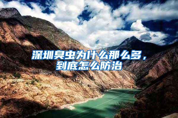 深圳臭蟲為什么那么多，到底怎么防治